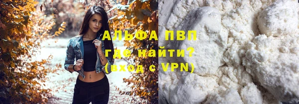 ПСИЛОЦИБИНОВЫЕ ГРИБЫ Сосновка