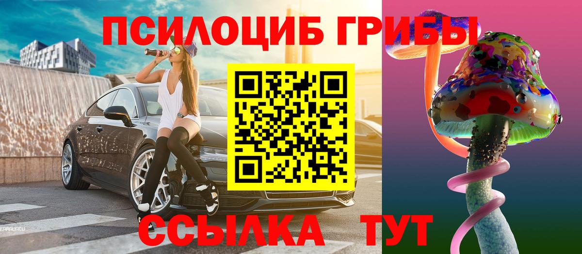 Галлюциногенные грибы Psilocybe Бузулук