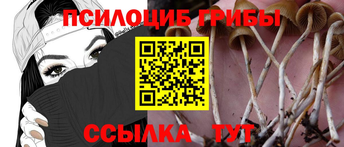Галлюциногенные грибы Psilocybe  Галлюциногенные грибы GOLDEN TEACHER  Бузулук  Вход с VPN 